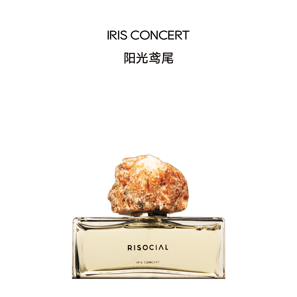 IRIS CONCERT