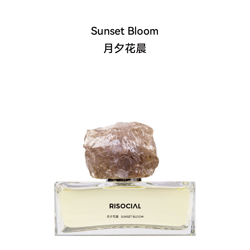 Sunset Bloom