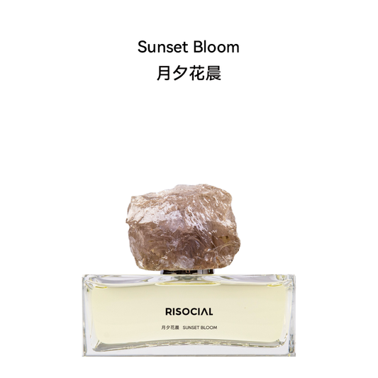 Sunset Bloom